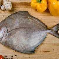 Fresh Black Pampano (~1kg)