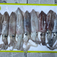 Fresh Pusit Native