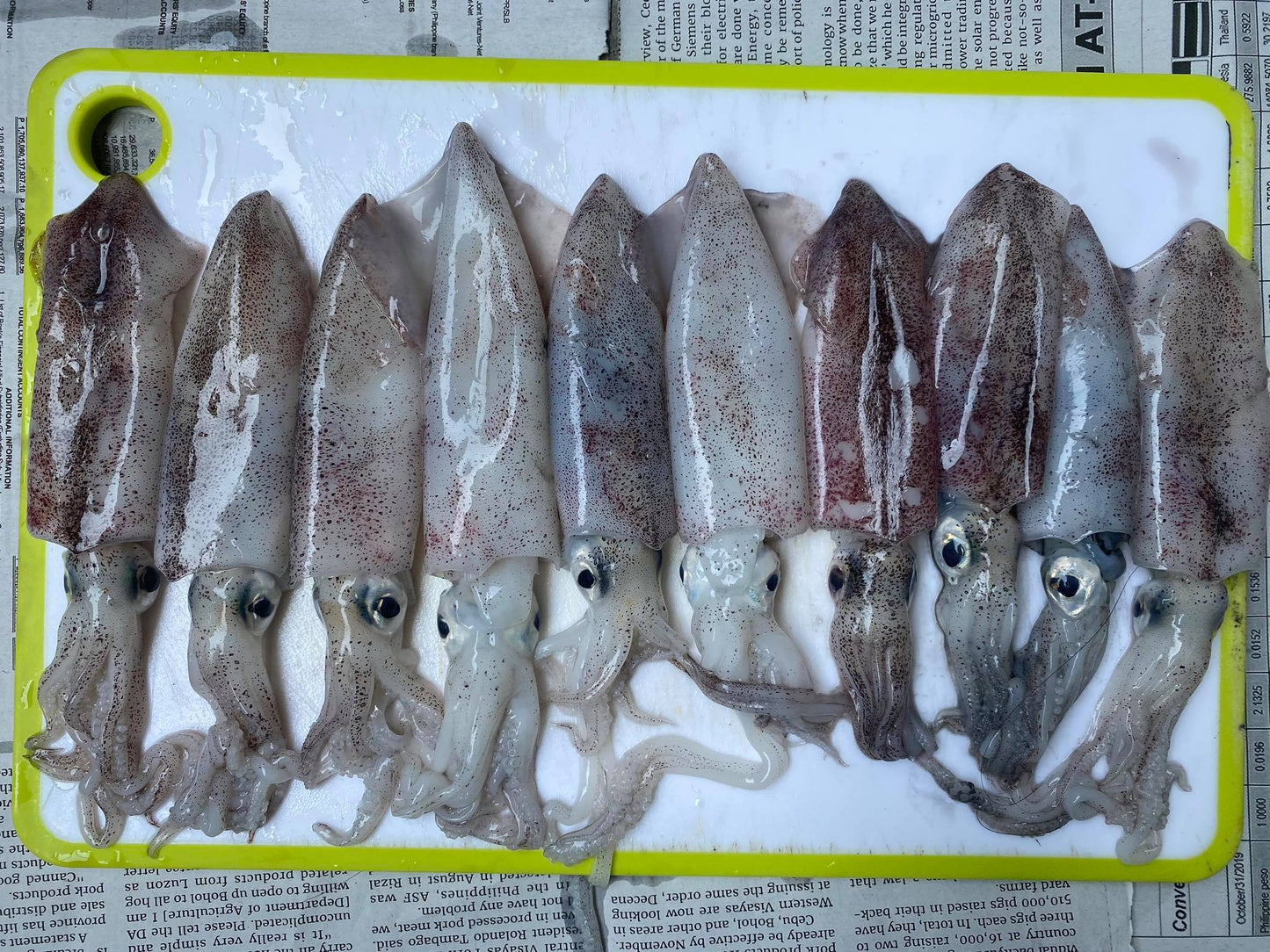 Fresh Pusit Native