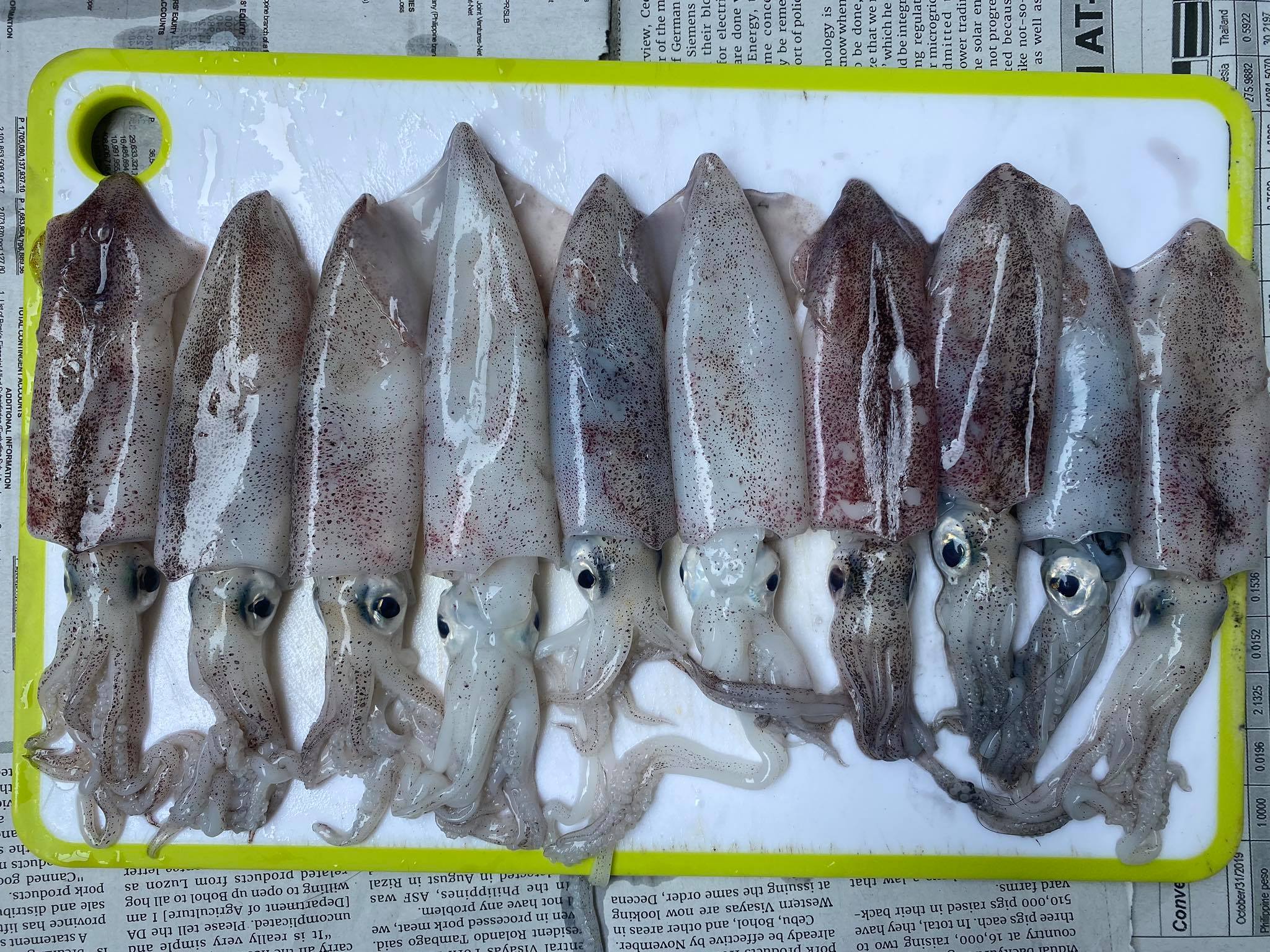 Fresh Pusit Native