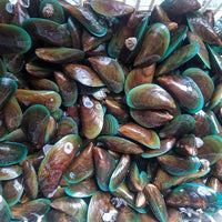 Fresh Tahong~1kg - Fishers Cart
