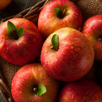 Fresh Fuji Apple (~5 pcs)