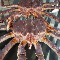 Alaskan King Crab (~2.0-4.5kg per piece)