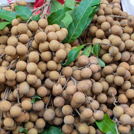 Fresh Longgan (1kg)