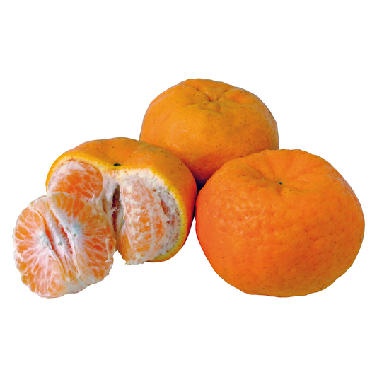 Fresh Karache Ponkan (~3pcs)