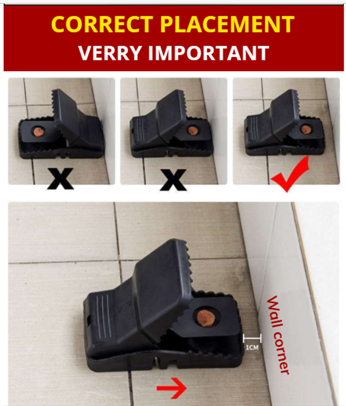 Reusable Mouse Trap-100% Capture Rate