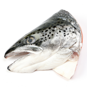 Salmon Head (~900g - 1kg)