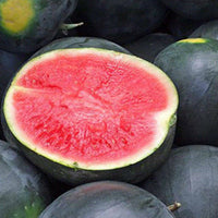 Fresh Sweet Seedless Pakwan (~1 whole 4-6kg)