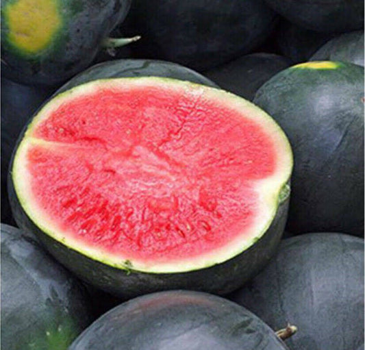 Fresh Sweet Seedless Pakwan (~1 whole 4-6kg)