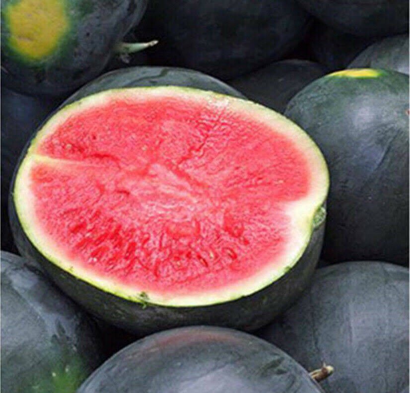 Fresh Sweet Seedless Pakwan (~1 whole 4-6kg)
