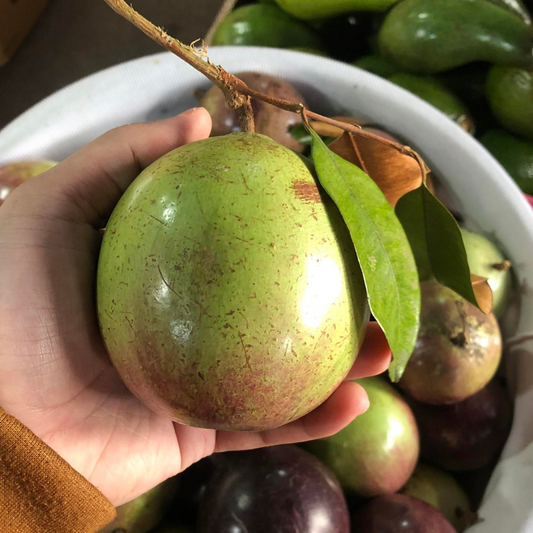 Fresh Star Apple (~1kg)