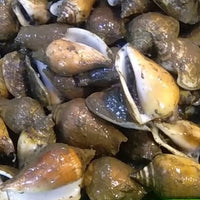 Fresh Suso (~1kg)
