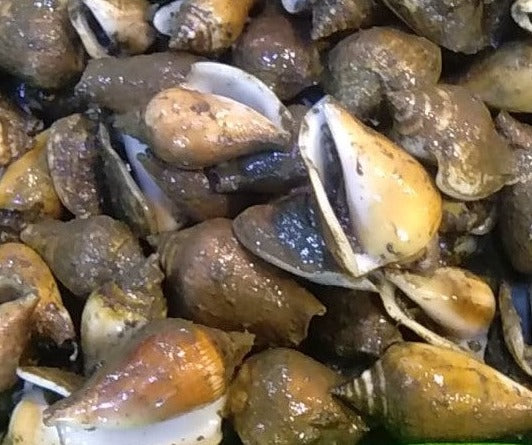 Fresh Suso (~1kg)