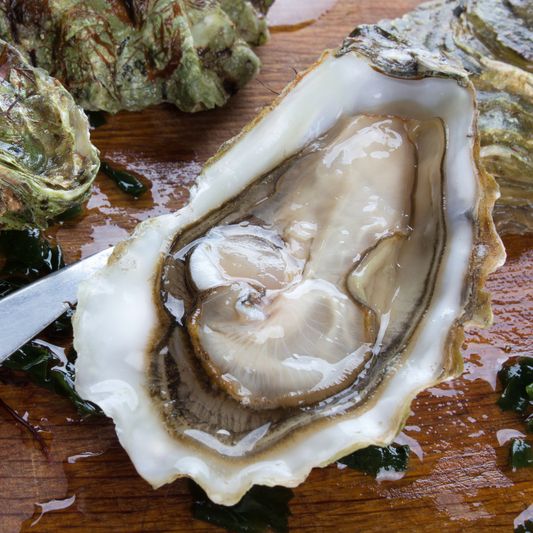 Fresh Aklan Talaba (~2kg;Orig Price 350/kg)