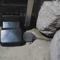 Reusable Mouse Trap-100% Capture Rate
