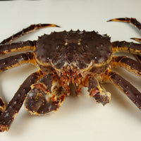 Alaskan King Crab (~2.0-4.5kg per piece)