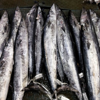 Fresh Sungsong (~2-3kg)