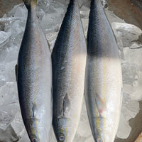 Fresh Local Salmon (~1kg)